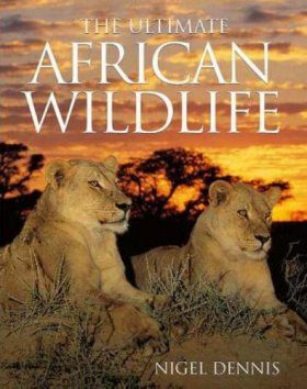 Ultimate African Wildlife