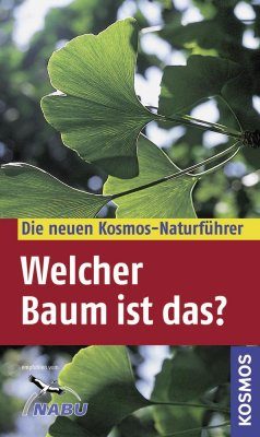 Welcher Baum ist das?
