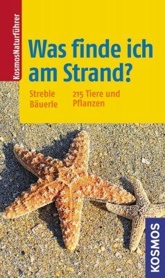 Was Finde ich am Strand?