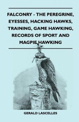 Falconry: The Peregrine, Eyesses, Hacking Hawks, Training, Game Hawking, Records Of Sport And Magpie Hawking