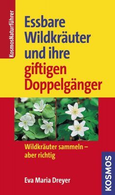 Wildkräuter und Ihre Giftigen Doppelgänger