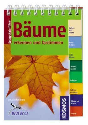 Bäume erkennen und bestimmen
