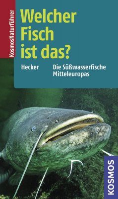 Welcher Fisch ist das?