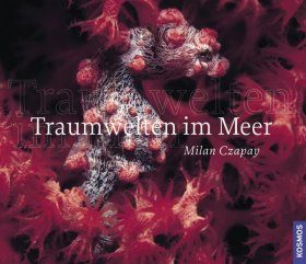 Traumwelten im Meer