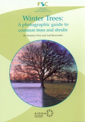 Winter Trees