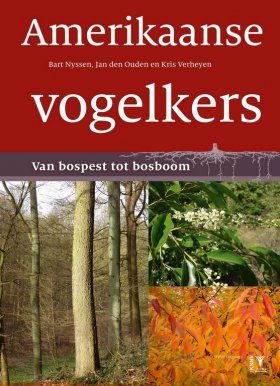 Amerikaanse Vogelkers