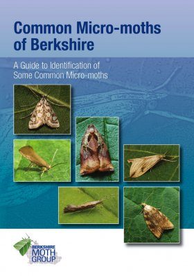 Common Micro-Moths of Berkshire