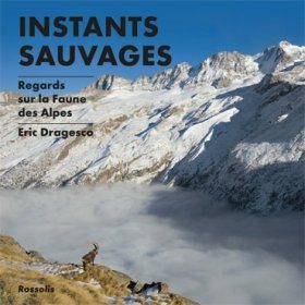 Instants Sauvages
