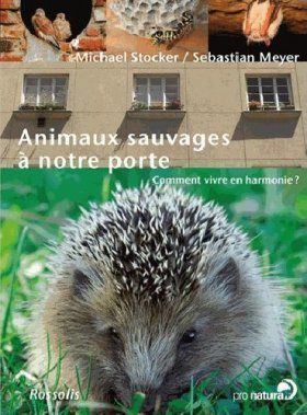 Animaux Sauvages à Notre Porte