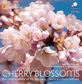 Cherry Blossoms