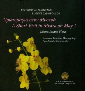 A Short Visit to Mistra on May 1st