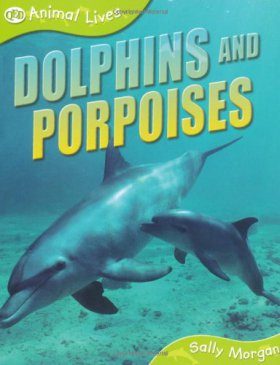 Dolphins and Porpoises