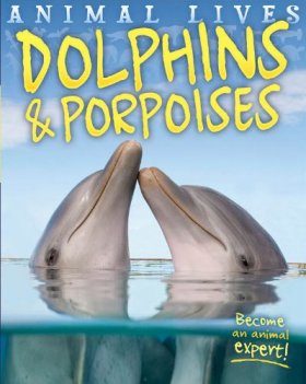 Dolphins and Porpoises