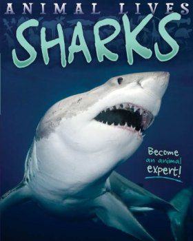 Sharks