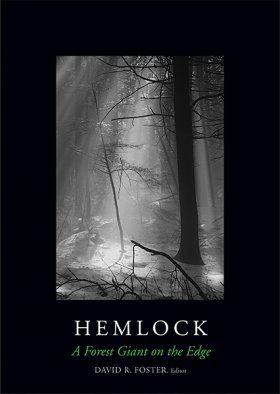 Hemlock: A Forest Giant on the Edge