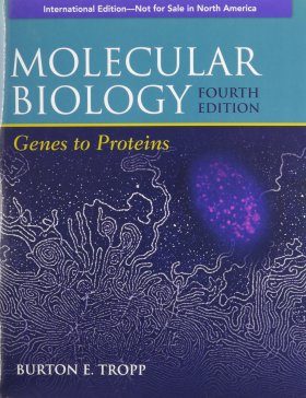 Molecular Biology (International Edition)