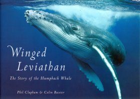Winged Leviathan