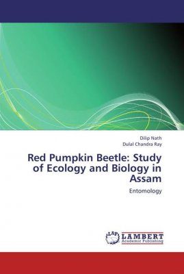 Red Pumpkin Beetle
