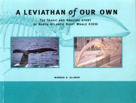A Leviathan of Our Own