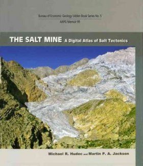 The Salt Mine