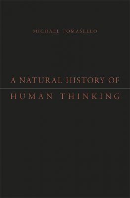 A Natural History of Human Thinking