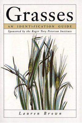 Grasses: An Identification Guide