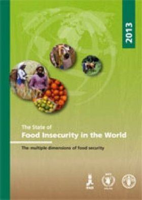 State of Food Insecurity in the World 2013