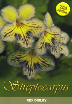 Streptocarpus