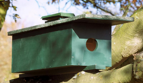 Wooden Little Owl Nest Box