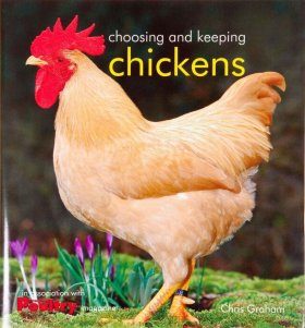 Choosing and Keeping Chickens