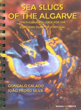Sea Slugs of the Algarve