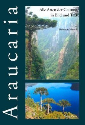 Araucaria: Alle Arten der Gattung in Bild und Text
