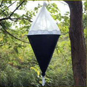 Pop-up Berlese Funnel