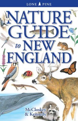 Nature Guide to New England