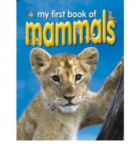 My First Book of Mammals