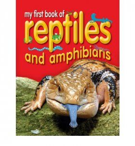 My First Book of Reptiles and Amphibians