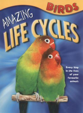 Amazing Life Cycles: Birds