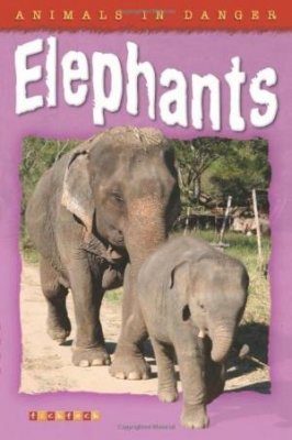 Animals in Danger: Elephants