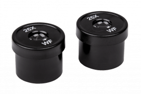 Pair of 25x Eyepieces for the DM6 Field Stereo Microscope