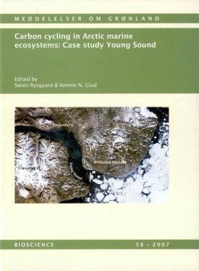 Carbon Cycling in Arctic Marine Ecosystems