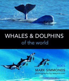 Whales & Dolphins of the World