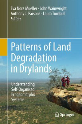 Patterns of Land Degradation in Drylands