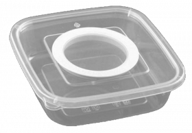 Insect Box