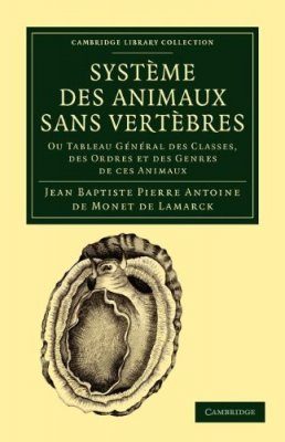 Système des Animaux sans Vertèbres