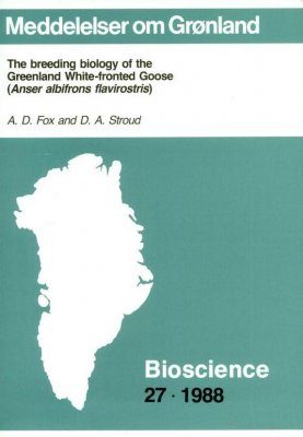 The Breeding Biology of the Greenland White-Fronted Goose (Anser albifrons flavirostris)