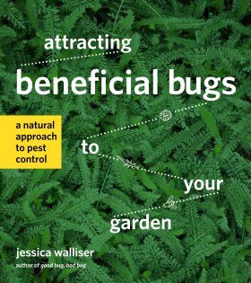 Attracting Beneficial Bugs to Your Garden