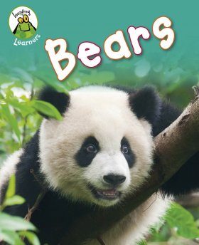Bears