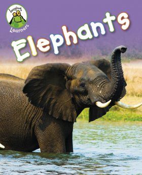 Elephants
