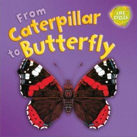 From Caterpillar to Butterfly