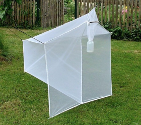 Malaise Trap